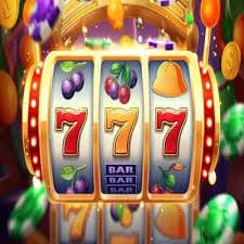 bwin55